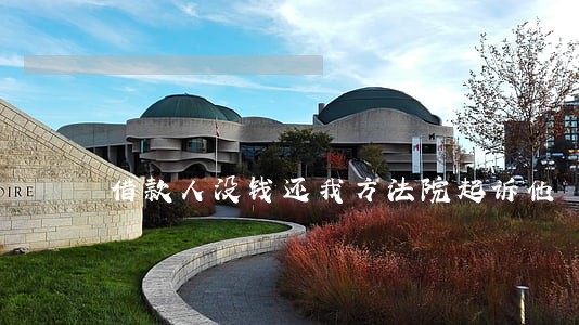 借款人没钱还我方法院起诉他 借款人没钱还我方法院起诉他