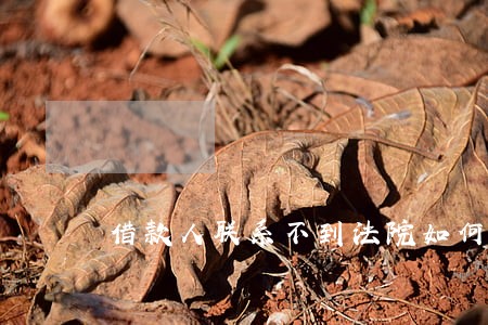借款人联系不到法院如何处理