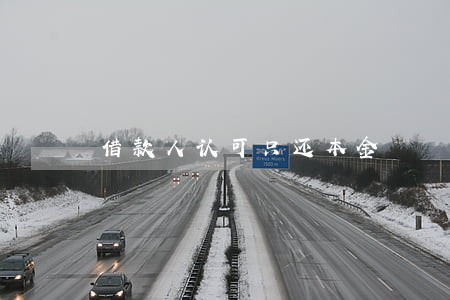 借款人认可只还本金 借款人认可只还本金