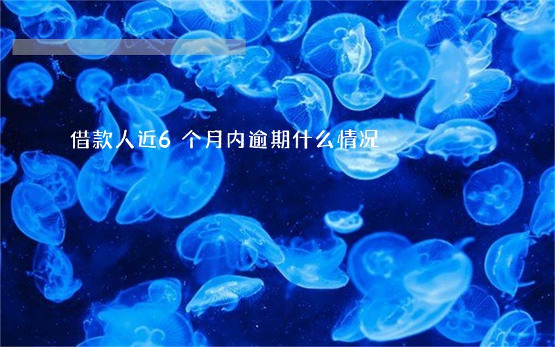 借款人近6个月内逾期什么情况 借款人近6个月内逾期什么情况