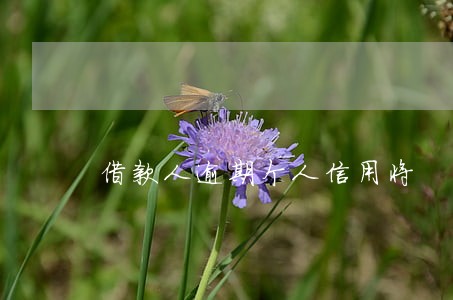 借款人逾期个人信用将 借款人逾期个人信用将