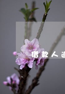 借款人逾期外汇被银行扣划