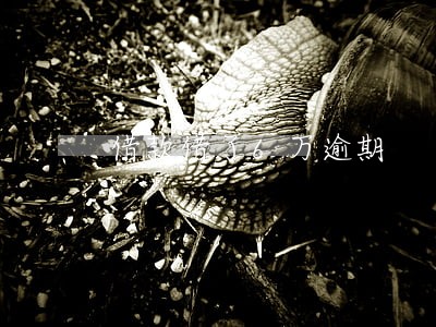 借款借了6万逾期 借款借了6万逾期