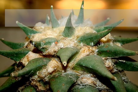 借款债权债务律师团队 借款债权债务律师团队