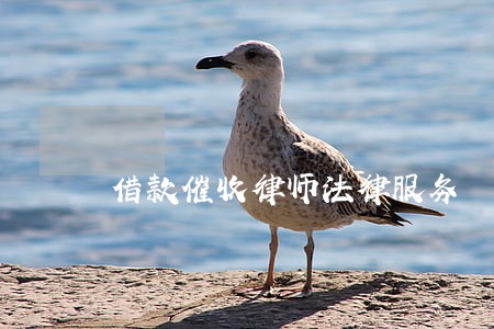 借款催收律师法律服务 借款催收律师法律服务