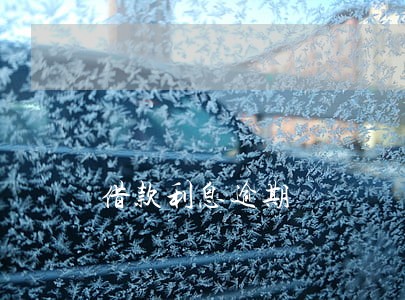 借款利息逾期 借款利息逾期