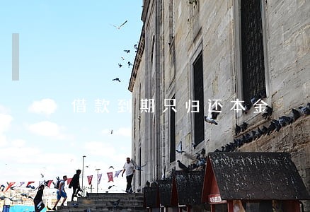 借款到期只归还本金
