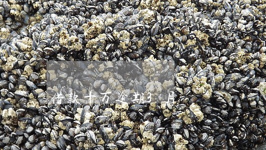 借款十万逾期3月 借款十万逾期3月