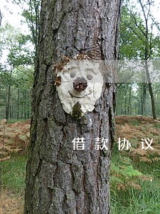 借款协议上的律师费 借款协议上的律师费