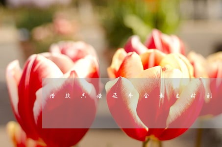 借款只偿还本金未支付利息 借款只偿还本金未支付利息