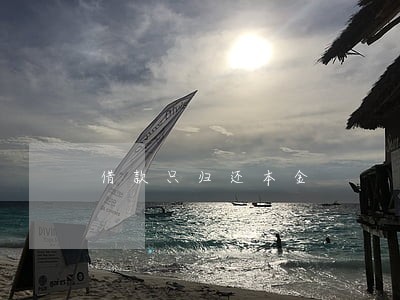 借款只归还本金 借款只归还本金