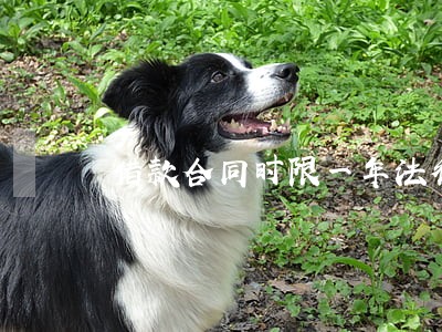 借款合同时限一年法律时效 借款合同时限一年法律时效