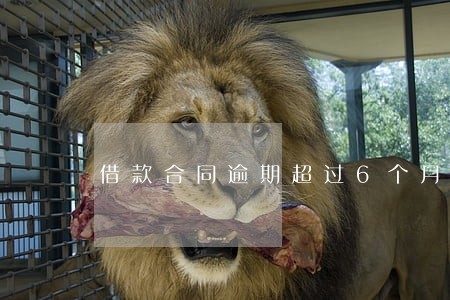 借款合同逾期超过6个月 借款合同逾期超过6个月