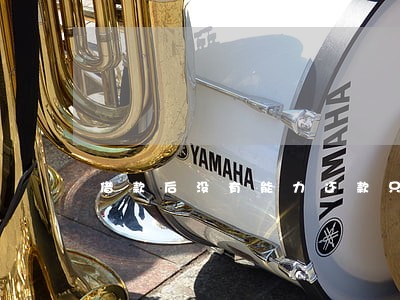 借款后没有能力还款只还本金 借款后没有能力还款只还本金