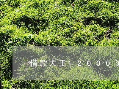借款大王12000逾期