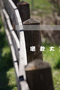 借款大王网贷逾期 借款大王网贷逾期