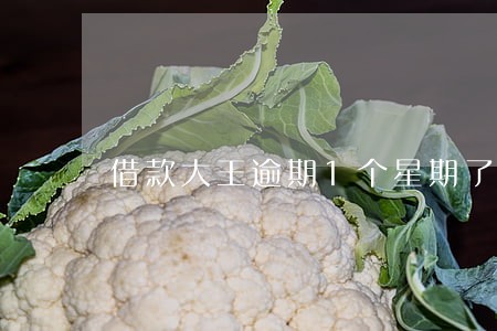 借款大王逾期1个星期了 借款大王逾期1个星期了