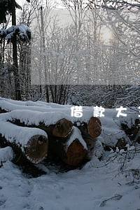借款大王逾期2小时 借款大王逾期2小时