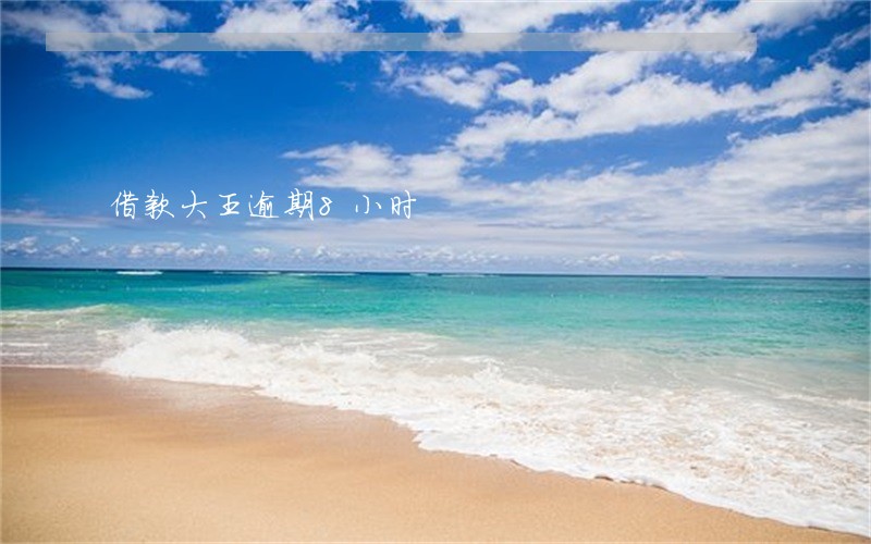 借款大王逾期8小时 借款大王逾期8小时