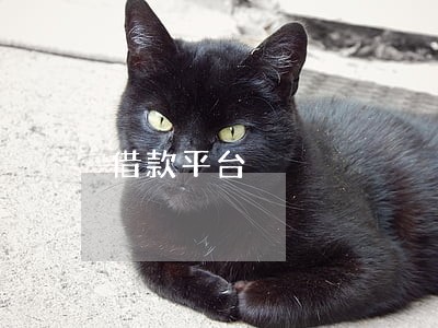 借款平台 借款平台