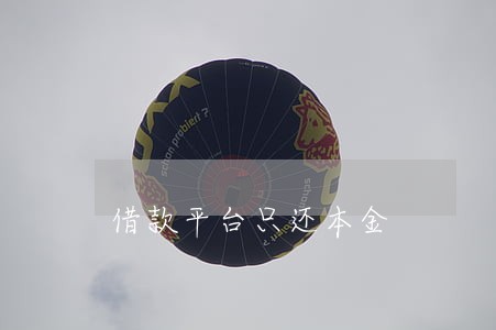 借款平台只还本金 借款平台只还本金