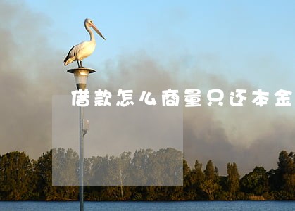 借款怎么商量只还本金 借款怎么商量只还本金