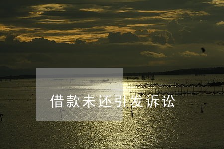 借款未还引发诉讼