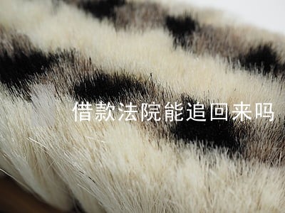 借款法院能追回来吗 借款法院能追回来吗