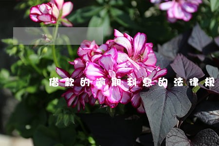 借款的逾期利息的法律规定6