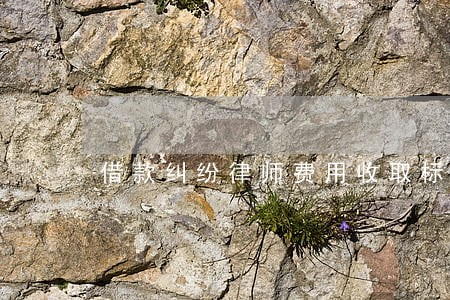 借款纠纷律师费用收取标准 借款纠纷律师费用收取标准