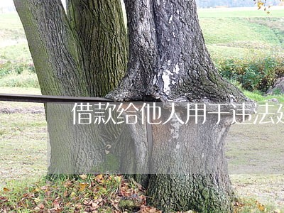 借款给他人用于违法建筑 借款给他人用于违法建筑