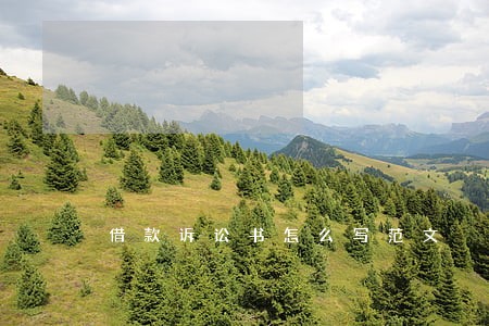 借款诉讼书怎么写范文