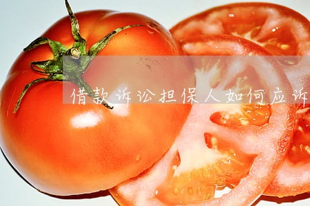 借款诉讼担保人如何应诉 借款诉讼担保人如何应诉