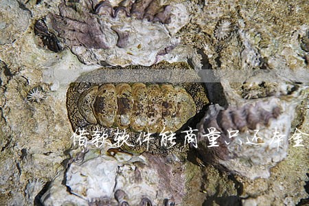 借款软件能商量只还本金吗 借款软件能商量只还本金吗