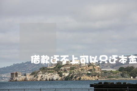 借款还不上可以只还本金吗 借款还不上可以只还本金吗