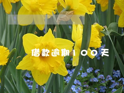 借款逾期100天 借款逾期100天