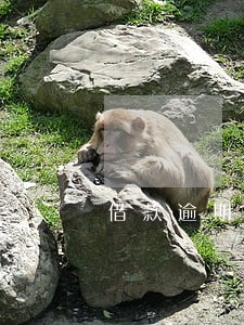 借款逾期1天上征信 借款逾期1天上征信