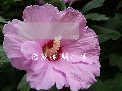 借款逾期1年 借款逾期1年