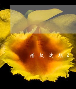 借款逾期20天会怎么样