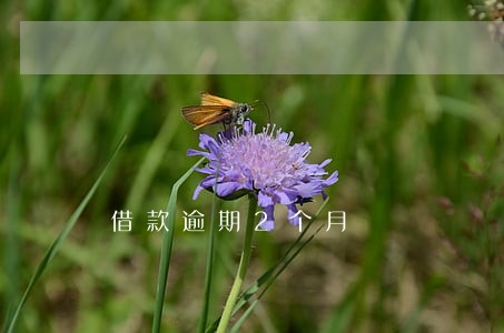 借款逾期2个月 借款逾期2个月