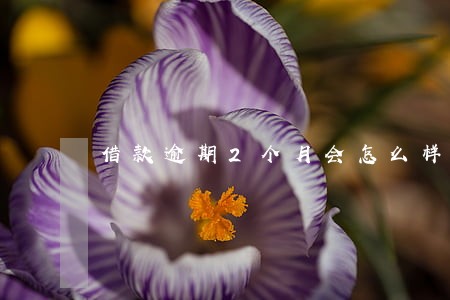 借款逾期2个月会怎么样 借款逾期2个月会怎么样