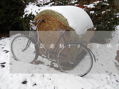 借款逾期3000块会怎么样