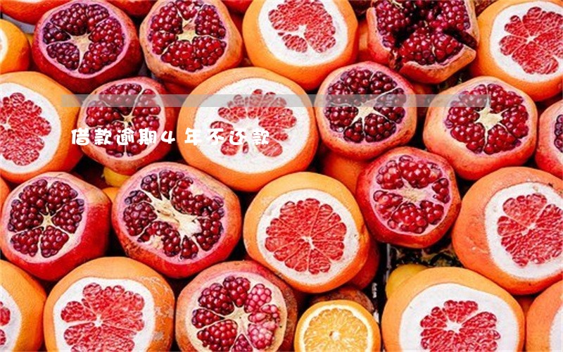 借款逾期4年不还款 借款逾期4年不还款