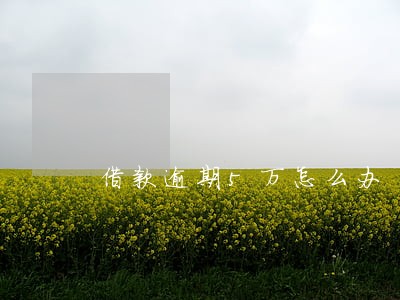 借款逾期5万怎么办 借款逾期5万怎么办