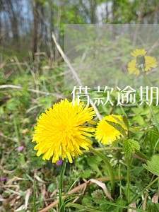 借款逾期5年没还 借款逾期5年没还