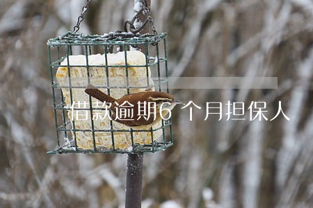借款逾期6个月担保人