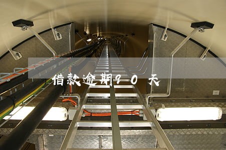 借款逾期90天 借款逾期90天