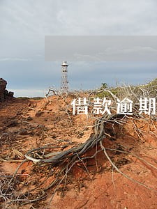借款逾期9天要求还全款
