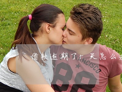 借款逾期了5天怎么办 借款逾期了5天怎么办