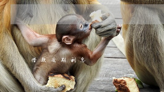 借款逾期利息 借款逾期利息